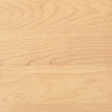 Линолеум спортивный Спортфлор Gem 6,5 TL65-005819 WOOD